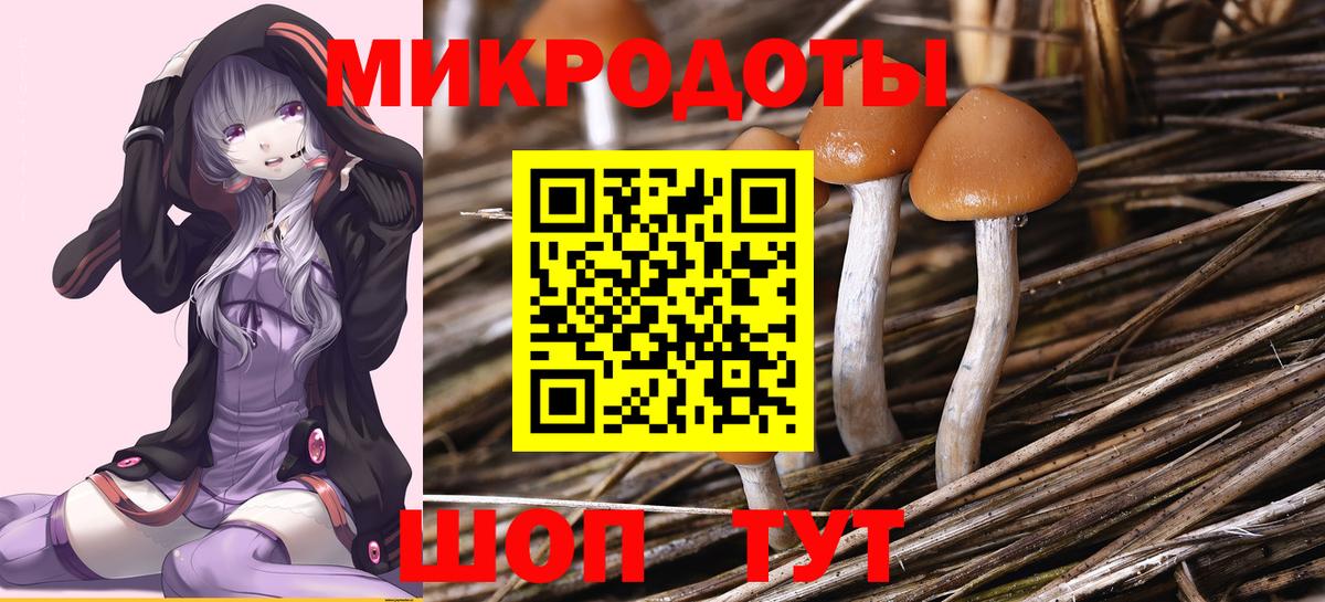 Псилоцибиновые грибы мухоморы  Вход с VPN  Мурманск 