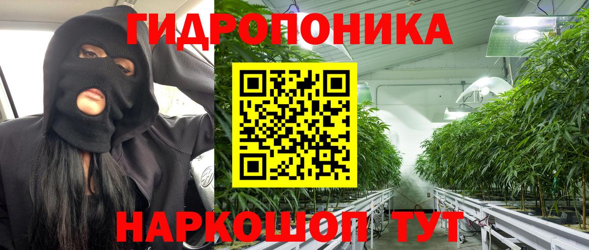 Канабис Мурманск